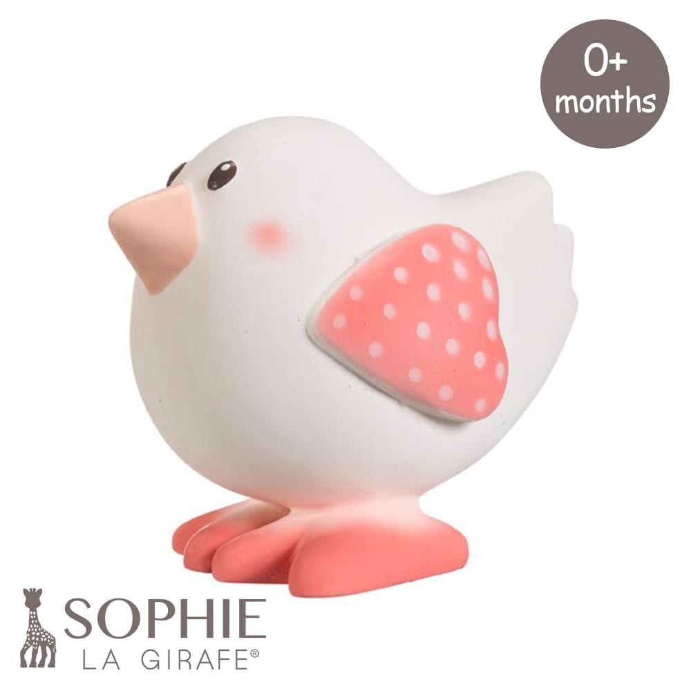 Les Folies Kiwi The Bird