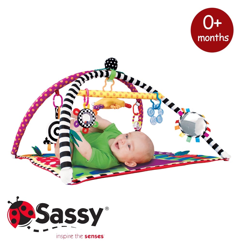 Sassy Sensory Gym