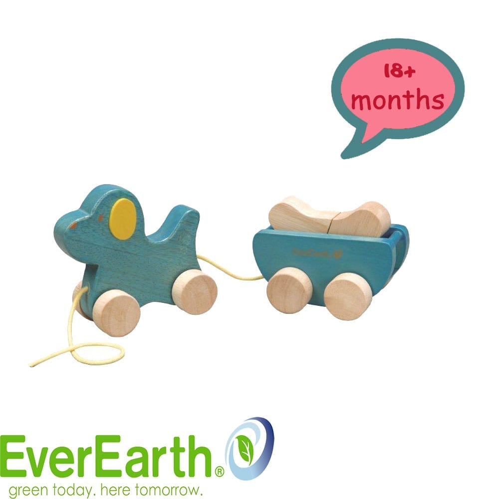 EverEarth Wooden Pull Along Dog & Bone