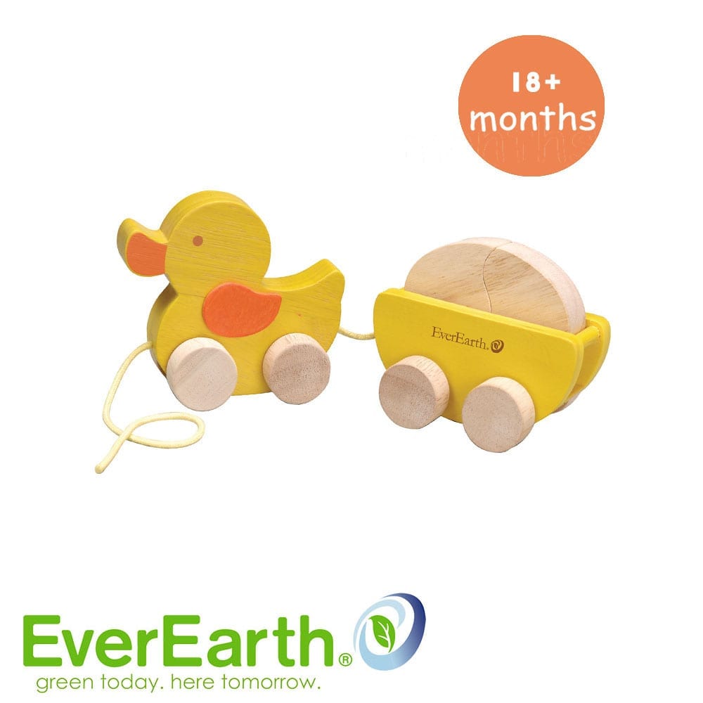 EverEarth Pull along Duck and Egg