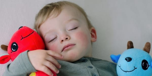 Les Folies Baby Product Baby Nest